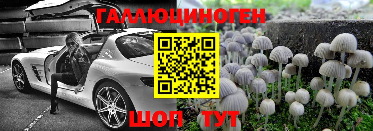 Галлюциногенные грибы Magic Shrooms  Псилоцибиновые грибы Psilocybine cubensis  Балабаново  Вход с VPN 