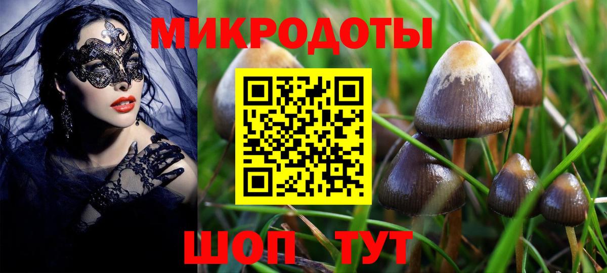 Галлюциногенные грибы ЛСД Балабаново